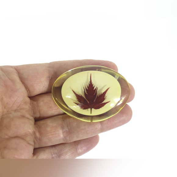 Maple Leaf in Resin Pin, Vintage Brooch Japanese Maple Canadian Souvenir Canada - Picture 5 of 6